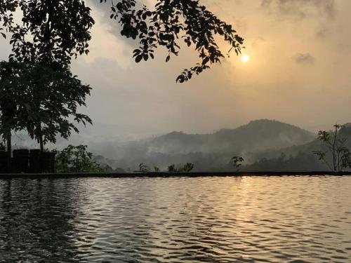 . “Kodikad” A hilltop forest accommodation