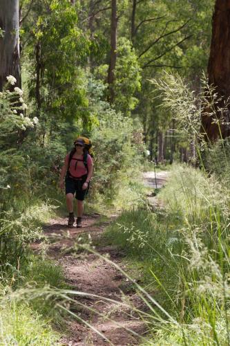 The Harrietville Snowline Hotel