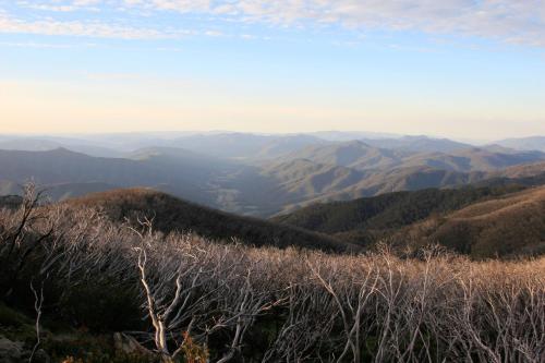 The Harrietville Snowline Hotel