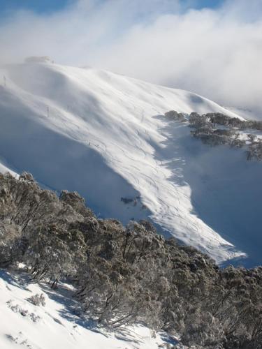 The Harrietville Snowline Hotel