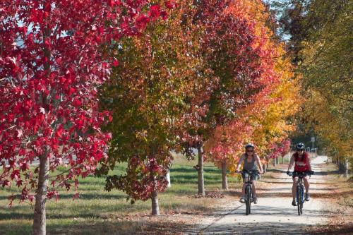 The Harrietville Snowline Hotel