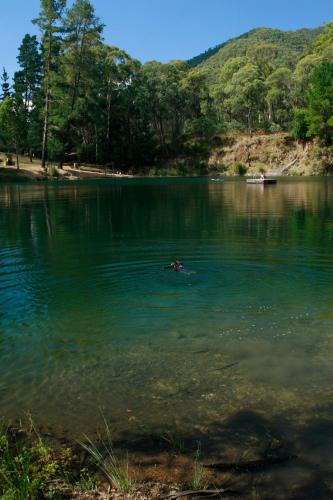 The Harrietville Snowline Hotel