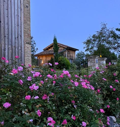 Casa delle Arti Fattoria dei fiori