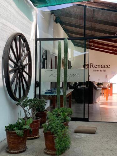 B&B Tacna - Renace Suites - Bed and Breakfast Tacna