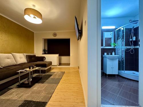 Sholiday Studio Apartament Modern Cu Parcare Gratuita In Timisoara - Timișoara