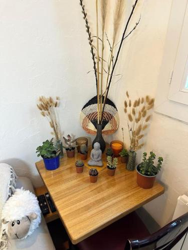Appartement Hypercentre