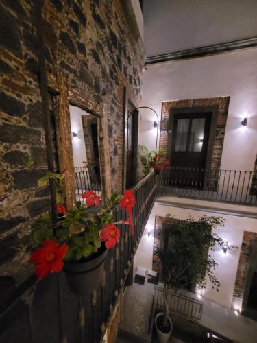 444706636 Milo Collection Hotel