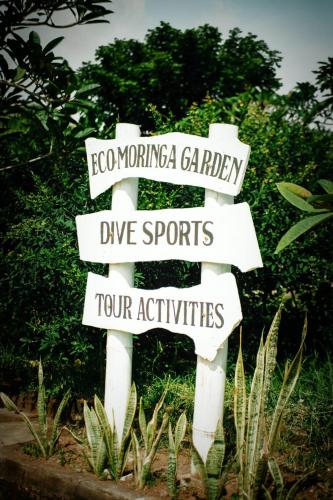 Eco Moringa Garden