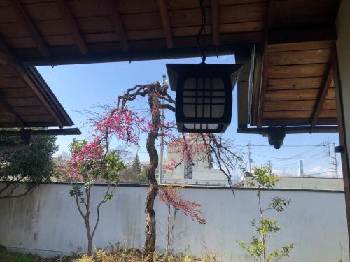 フクロウの御宿 石和館 in Yamanashi