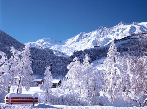 Amici, Saas-Fee (photo 6)