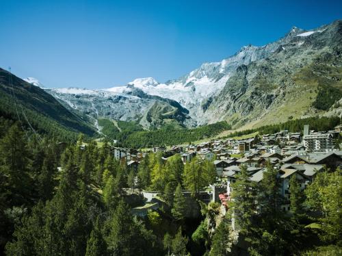 Amici, Saas-Fee (photo 7)