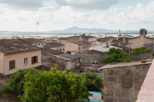 Carles - image 5