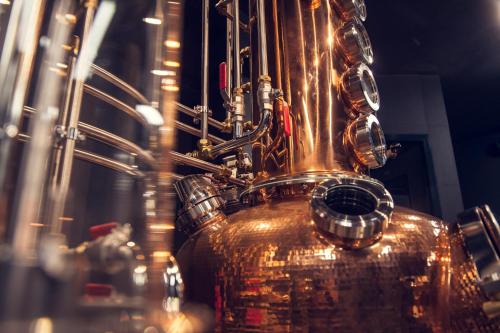 Apartmány Vinice Salabka - image 11