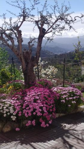 Studio le romantique à 20 kms de Nice