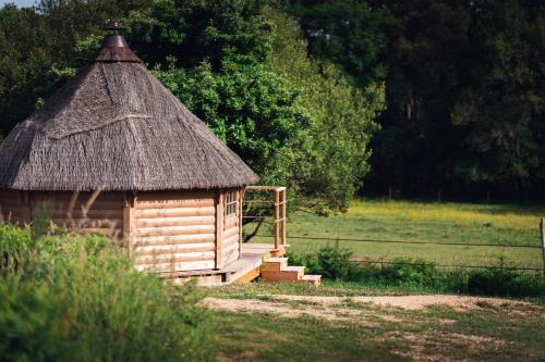 Dihan Evasion- Outdoor accommodations - image 12
