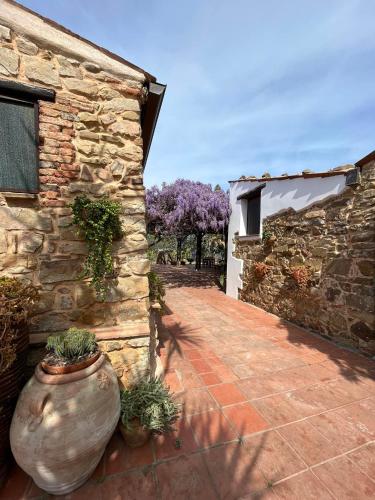Tenuta Luogo Marchese - Pollina