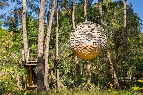 Dihan Evasion- Outdoor accommodations - image 8