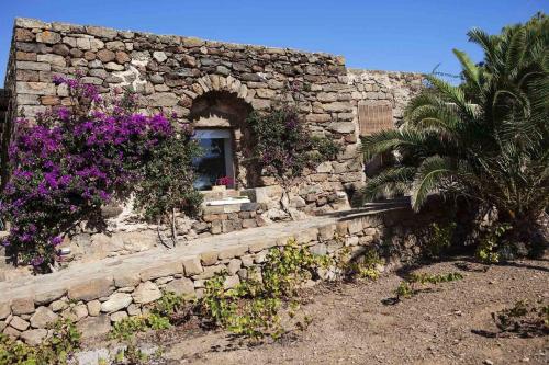 Villa 2 Chambres (Palmeto)