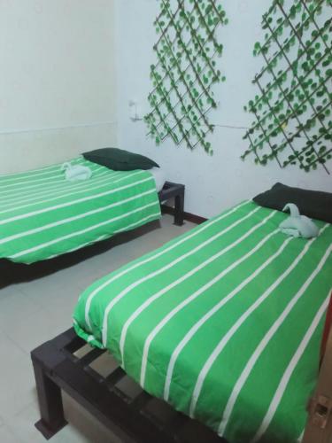 Photo - Birdnest Guesthouse, Gaia Rooftop Cafe