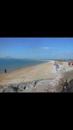 Fenit Oasis