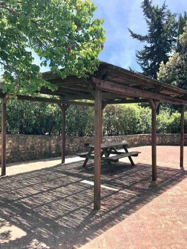  Il Fossetto, in mezzo a cavalli e ulivi secolari. in Casale Marittimo
