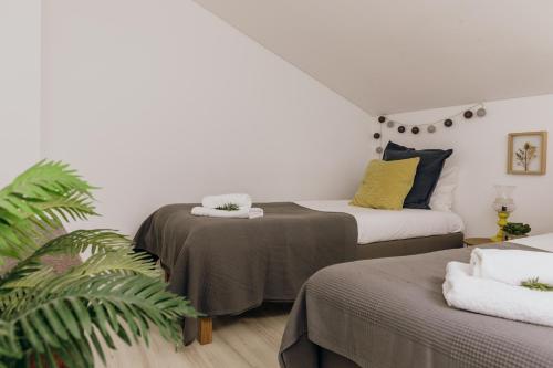 Casa Feijão no Centro de Setúbal