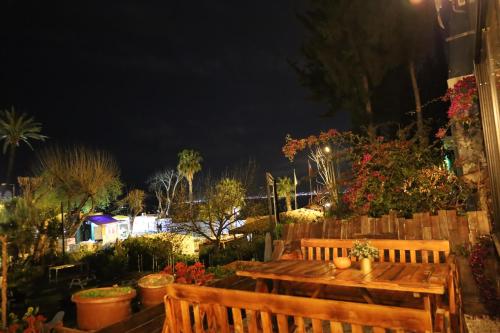 Blue Sea Garden - image 12