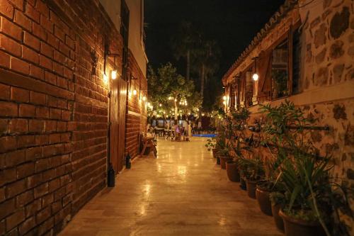Blue Sea Garden - image 13