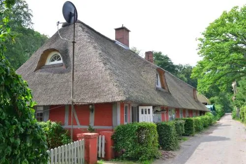 Wohnungen unter Reet in Krems Zwei, Deutschland