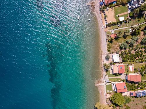 Luxurious villa, with big garden next to beach