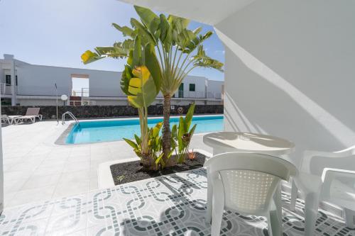 Apartamentos Aloe - image 11