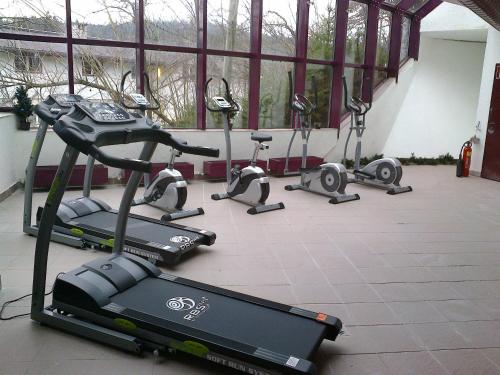 Family Hotel Schloss Rosenegg - image 4