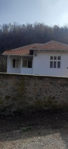 B&B Gornja Držina - BELA VILA MIJALKOV - Bed and Breakfast Gornja Držina