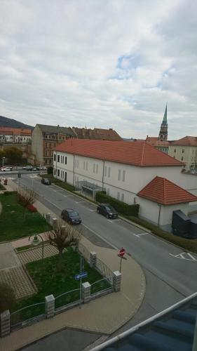 FerienwohnungApartment Löbau, Stadt- und Messenah