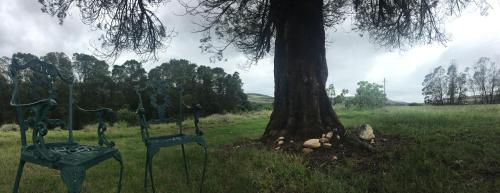 Ouma's House in Heidelberg (Western Cape)