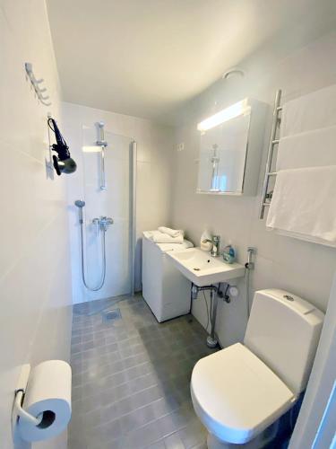 Scandinavian Sweet home 1BR in Kamppi City Center 30, Helsinky (fotografie 7)