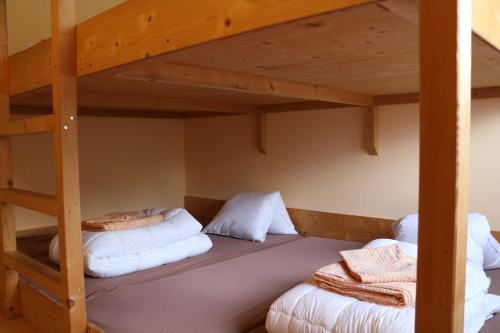 Single Bed in Mixed Dormitory Room