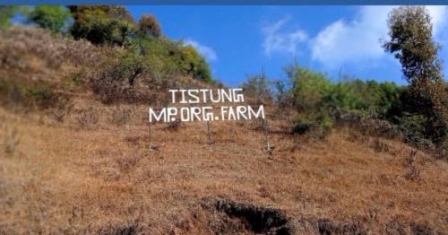 Tistung MP. Org. Homestay in Thaha