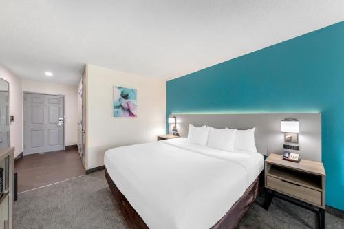 Comfort Inn US Hwy 80 - image 12