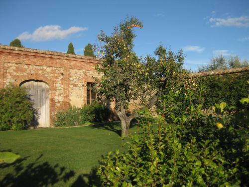 Fattoria Monastero Sant'Anna in Camprena