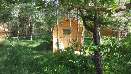 Glamping Pod im Wald mit Einzelbetten