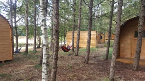 Glamping Pod im Wald mit Einzelbetten