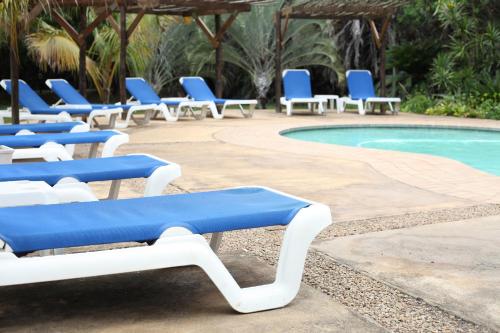 Emdoneni Lodge with Zululand Cat Conservation Project Emdoneni Lodge with Zululand Cat Conservation Project