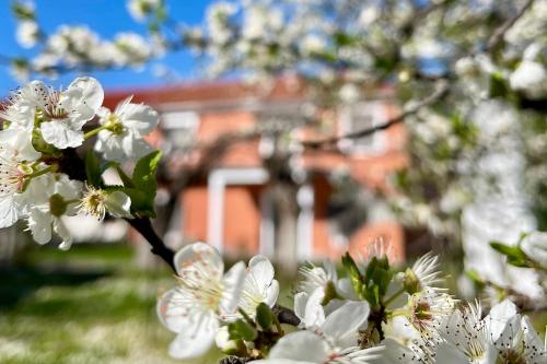 Casa Delicosta- 2 Flat Country house with garden, 15 min from Trikala