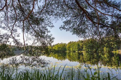 Saarjärve Puhkemaja 32-le, 8 magamistuba