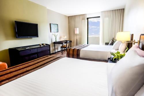 Lidotel Valencia in El Vinedo Valencia