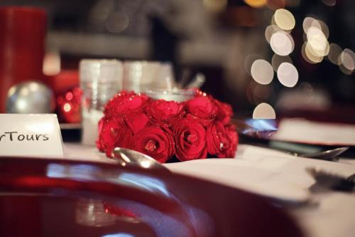 Emdoneni Lodge with Zululand Cat Conservation Project Emdoneni Lodge with Zululand Cat Conservation Project