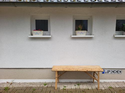 Das Lupinchen in 諾伊斯