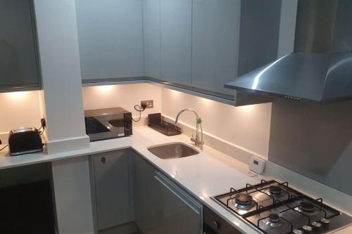 cosy apartment Alexandra palace Haringey, London, Londres (photo 7)