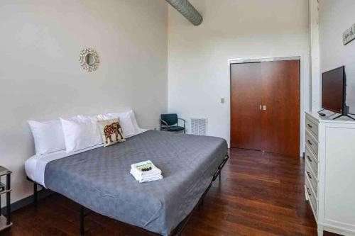 NY Style Centric Loft with King Bed by Park av. in Rochester, USA